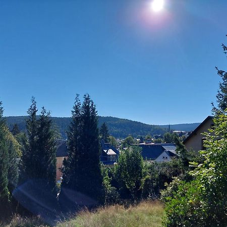 Villa Helvetia Bad Elster Zewnętrze zdjęcie