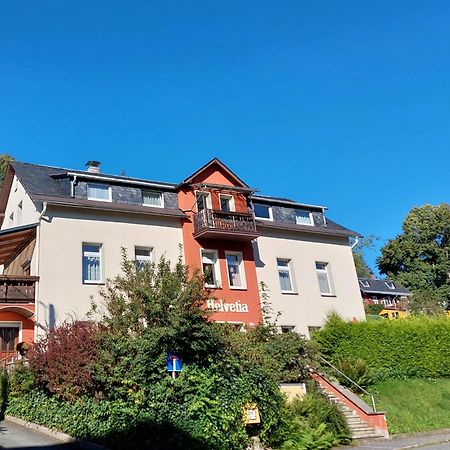 Villa Helvetia Bad Elster Zewnętrze zdjęcie
