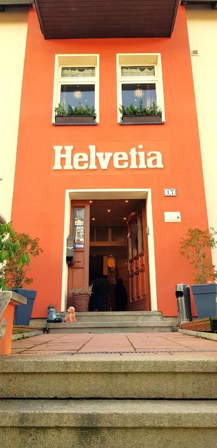 Villa Helvetia Bad Elster Zewnętrze zdjęcie