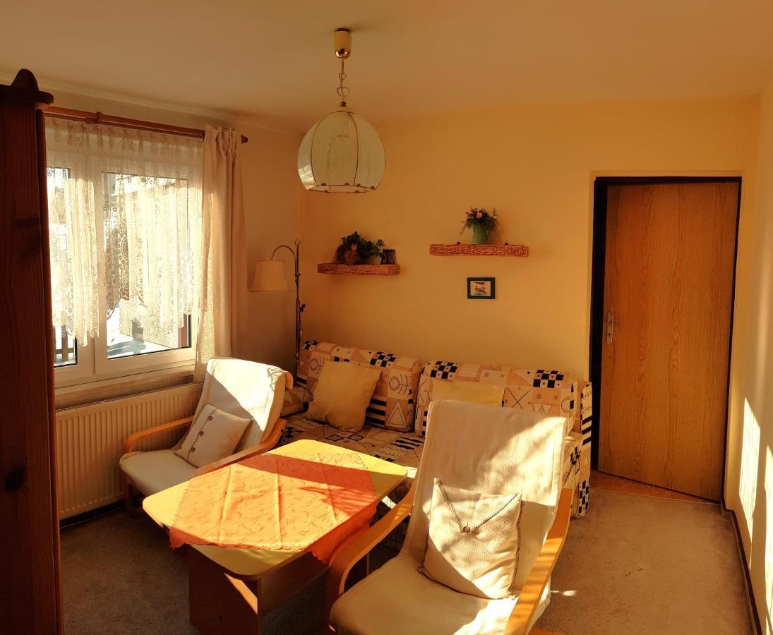 Villa Helvetia Bad Elster Zewnętrze zdjęcie