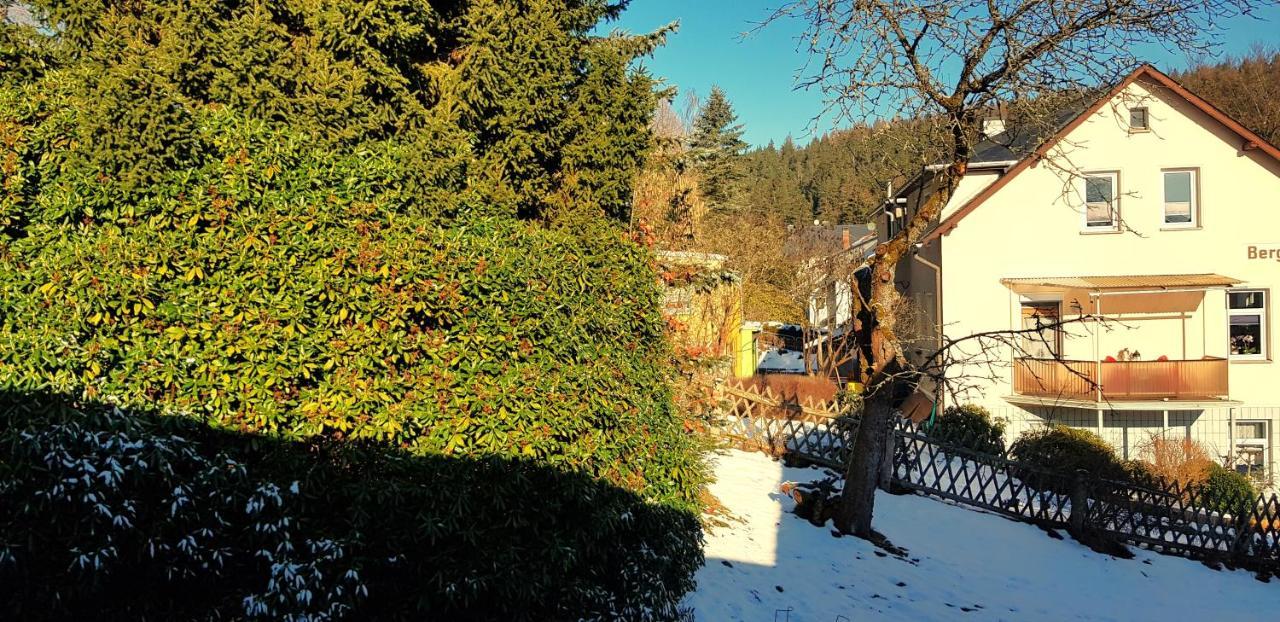 Villa Helvetia Bad Elster Zewnętrze zdjęcie