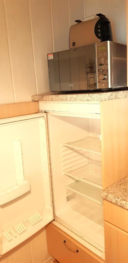 Villa Helvetia Bad Elster Zewnętrze zdjęcie