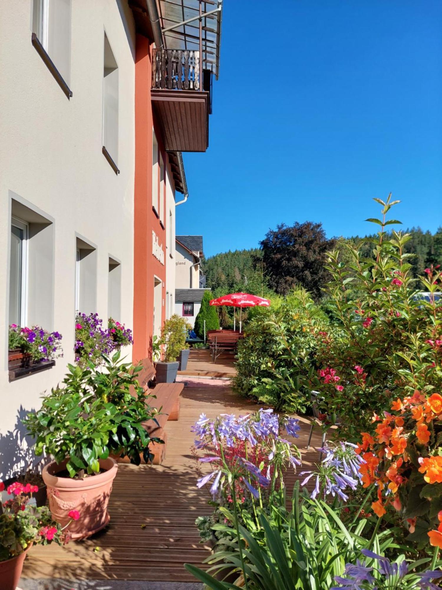 Villa Helvetia Bad Elster Zewnętrze zdjęcie