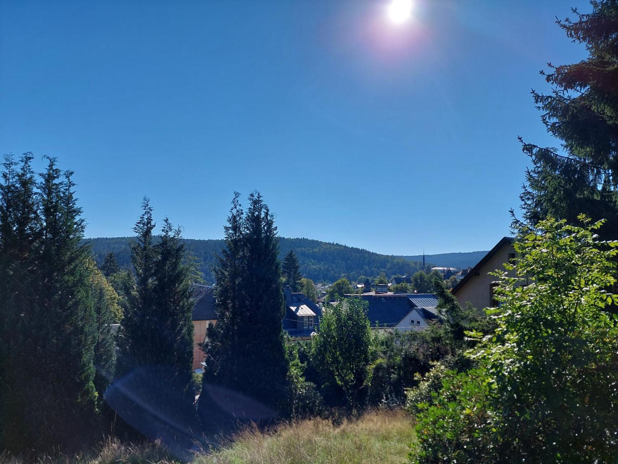 Villa Helvetia Bad Elster Zewnętrze zdjęcie