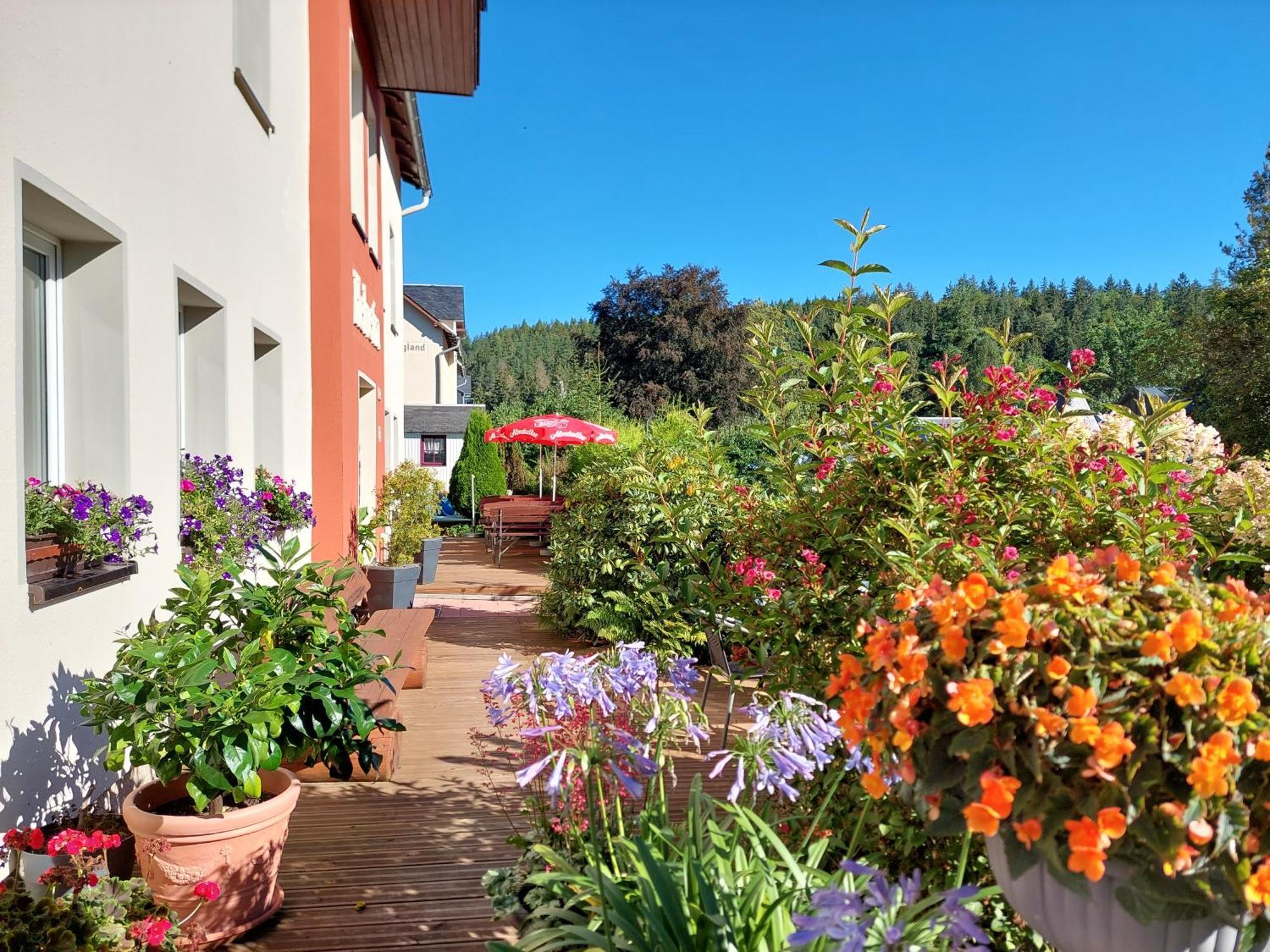 Villa Helvetia Bad Elster Zewnętrze zdjęcie