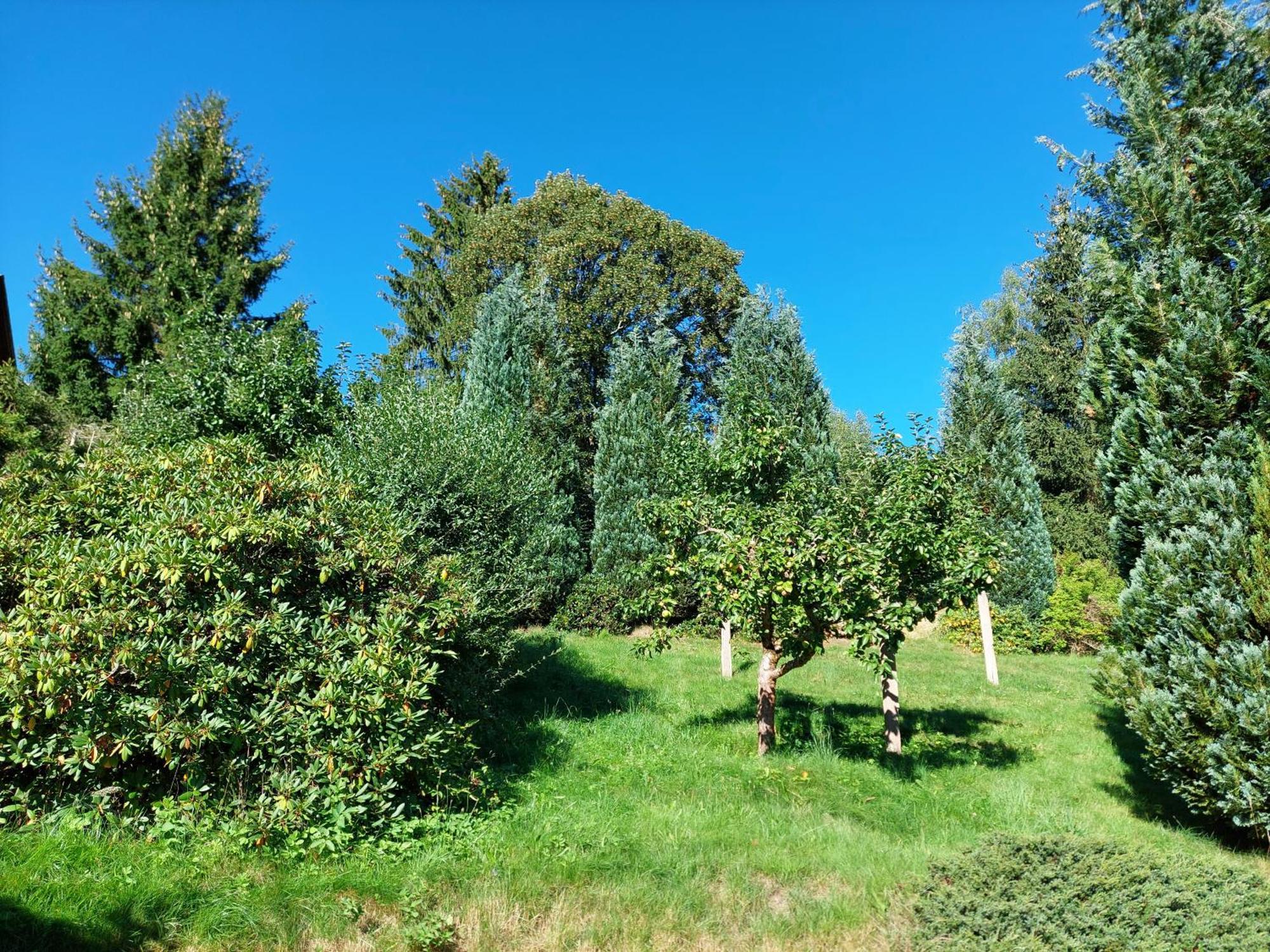 Villa Helvetia Bad Elster Zewnętrze zdjęcie