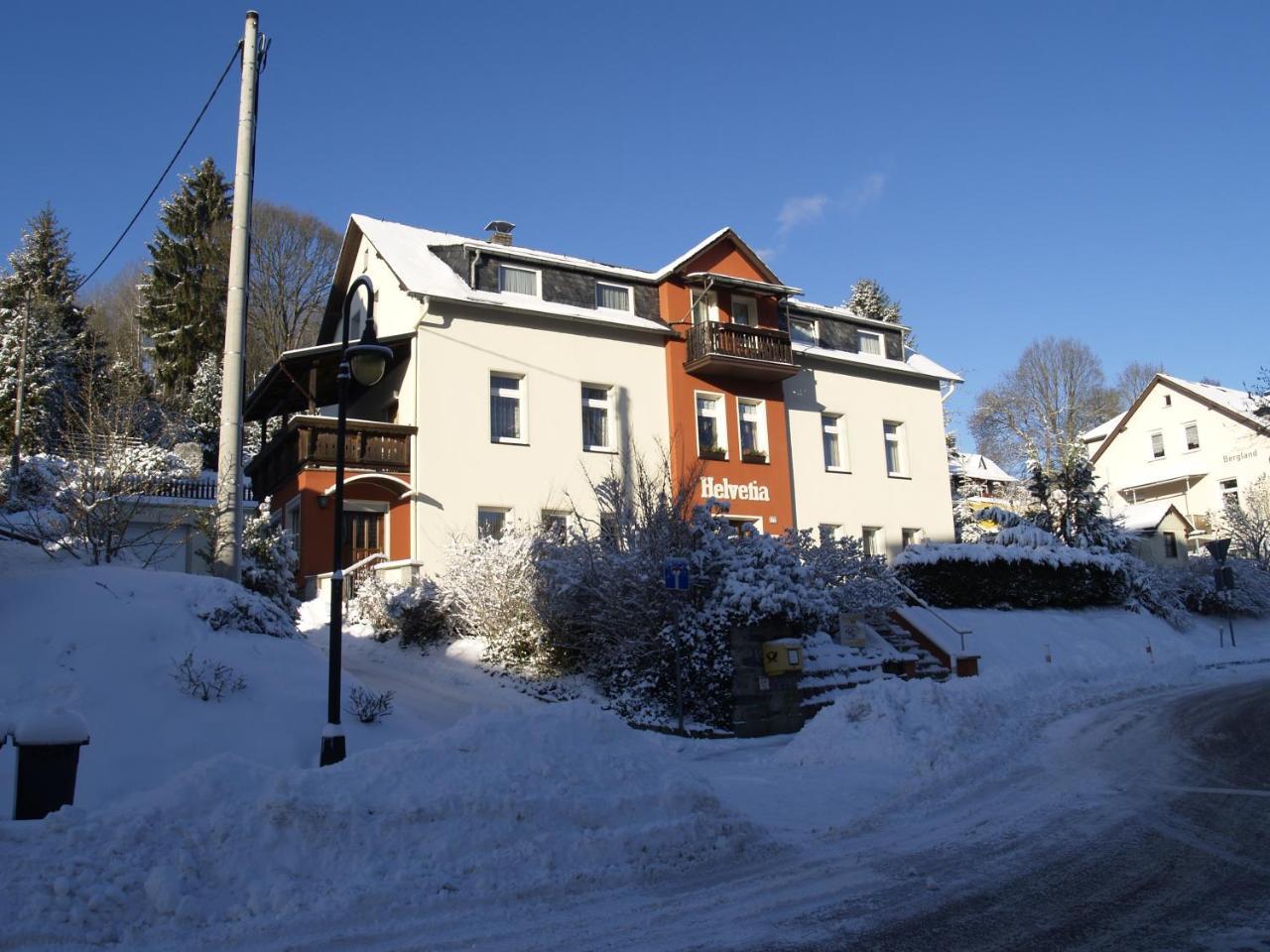 Villa Helvetia Bad Elster Zewnętrze zdjęcie